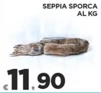Deco Superfreddo SEPPIA SPORCA offerta