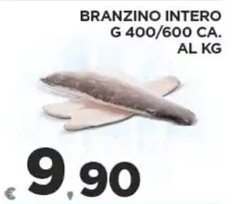Deco Superfreddo BRANZINO INTERO G 400/600 CA. offerta