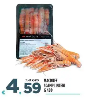 MACDUFF SCAMPI INTERI G 400