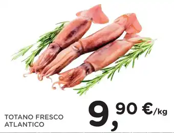 Poli TOTANO FRESCO ATLANTICO offerta