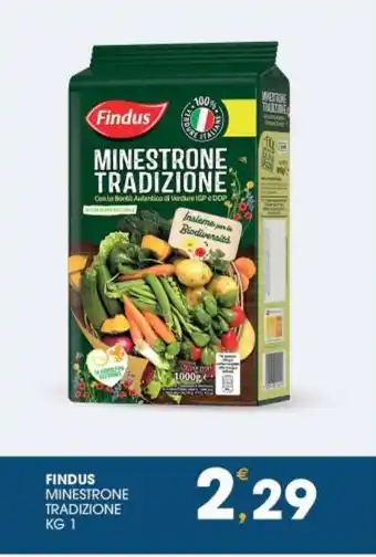 SeBón Supermercati FINDUS MINESTRONE TRADIZIONE KG 1 offerta