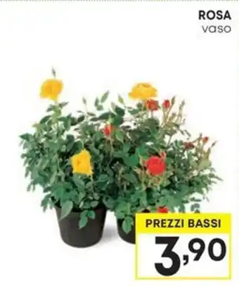 Pam ROSA vaso offerta