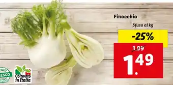 Lidl Finocchio offerta