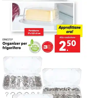 Lidl Organizer per frigorifero offerta