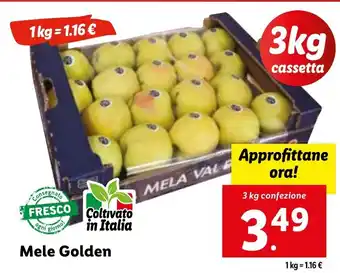 Lidl Mele Golden 3 kg confezione offerta