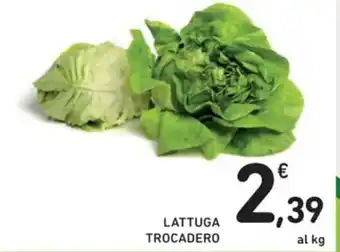 Spazio Conad LATTUGA TROCADERO offerta