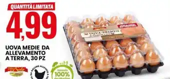 Eurospin UOVA MEDIE DA ALLEVAMENTO A TERRA, 30 PZ offerta