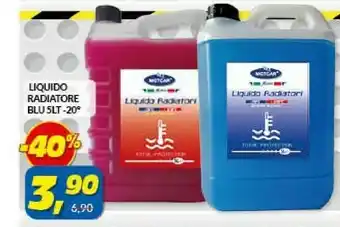 Risparmio Casa Metcan Liquido Radiatore Blu 5lt offerta