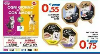 Vivo Supermercati Sheba Pate offerta