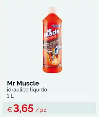 Acqua & Sapone Mr Muscle idraulico liquido 1L offerta