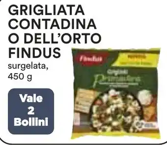 Ipercoop GRIGLIATA CONTADINA O DELL'ORTO FINDUS surgelata, 450 g offerta