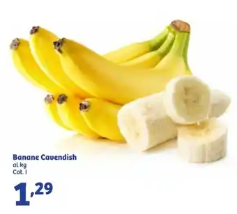 Banane Cavendish