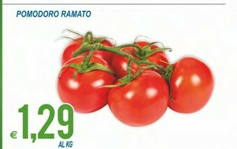 MD Discount Pomodoro Ramato offerta