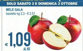 MD Discount Mele Gala offerta