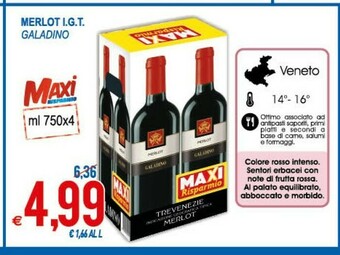 MD Discount Galadino Merlot IGT offerta