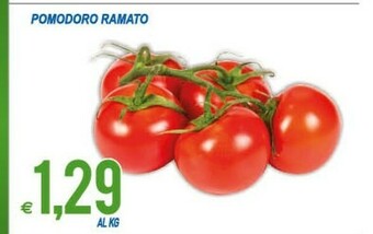 MD Discount Pomodoro Ramato offerta