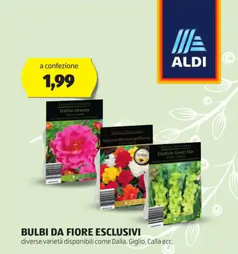 ALDI BULBI DA FIORE ESCLUSIVI diverse varietà disponibili come Dalia, Giglio, Calla ecc. offerta