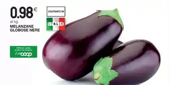 Melanzane Globose Nere