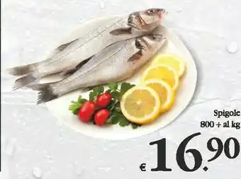 Spigole