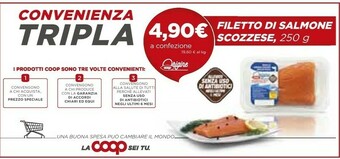 Coop Coop Filetto Di Salmone Scozzes offerta