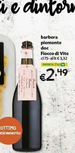 Fiocco Di Vite Barbera Piemonte