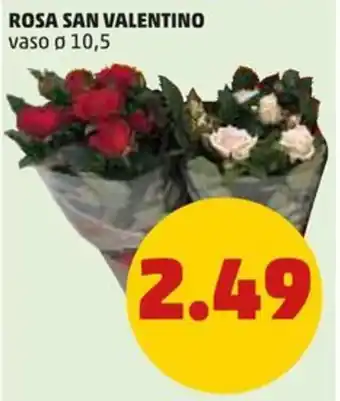 PENNY ROSA SAN VALENTINO vaso o 10,5 offerta