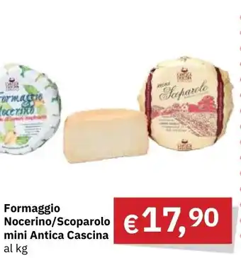 Muroli Formaggi Formaggio Nocerino/Scoparolo mini Antica Cascina offerta