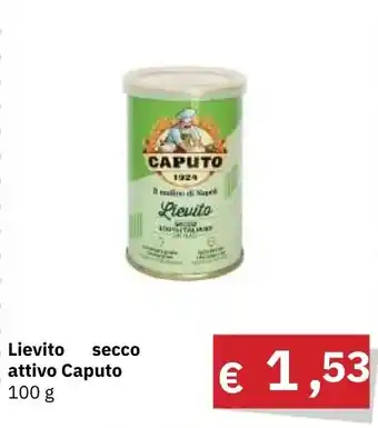 Lievito secco attivo Caputo 100 g