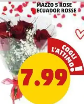 PENNY MAZZO 5 ROSE ECUADOR ROSSE offerta