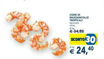 Code Di Mazzancolle Tropicali