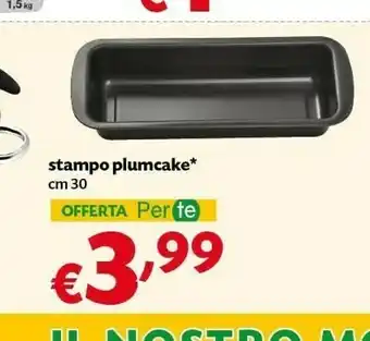 Stampo Plumcake
