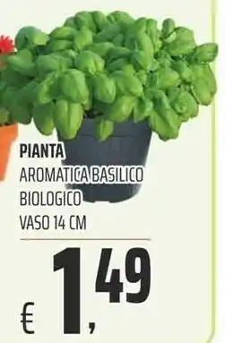 Céréal Pianta Aromatica Basilico Biologico offerta