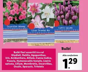 Lidl Bulbi offerta