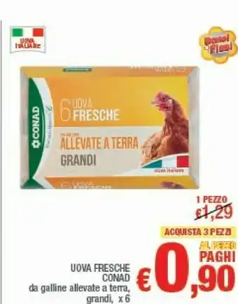 Céréal Conad - Uova Fresche Grandi offerta