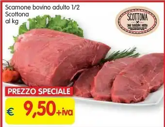 Scamone Bovino Adulto 1/2 Scottona