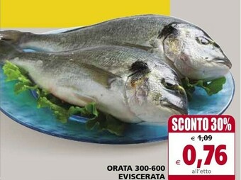 Céréal Orata Eviscerata offerta
