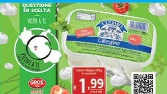Gros Mozzarella offerta