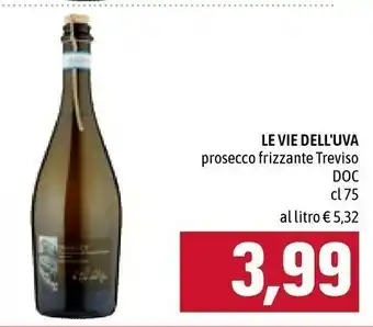 Le vie dell'uva Prosecco Frizzante Treviso 750 Ml
