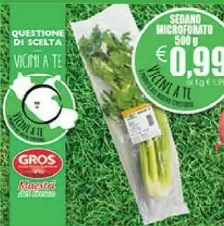 Gros Sedano Microforato 500 G offerta