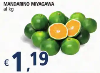 Mandarino Miyagawa
