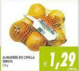 Gros Almaverde Cipolle offerta