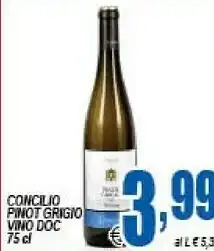 Gros Concilio Pinot Grigio Vino Doc offerta