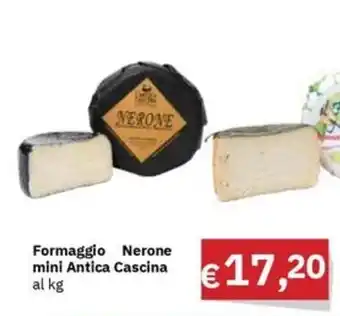 Formaggio Nerone mini Antica Cascina
