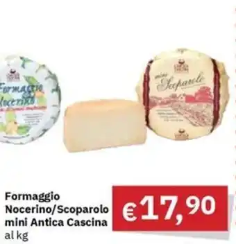 Muroli Formaggi Formaggio Nocerino/Scoparolo mini Antica Cascina offerta