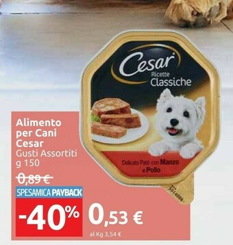 Carrefour Cesar Cibo per cani offerta