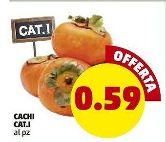 Cachi
