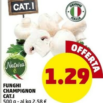 PENNY Penny Market Funghi Champignon Cat.1 offerta