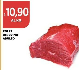 Ekom Carne offerta