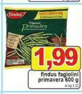 Gros Findus Fagiolini Primavera 600 G offerta