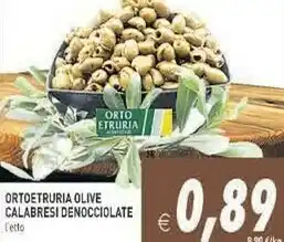 Iperfamily Orto etruria Olive Calabresi Denocciolate offerta